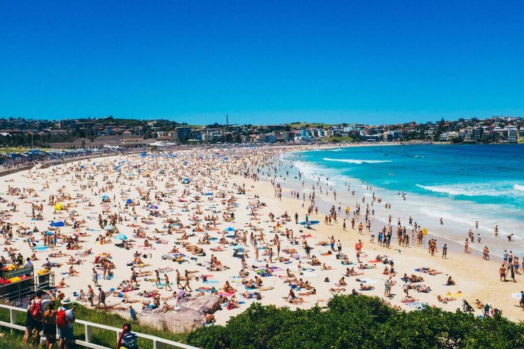 The Bondi Beachcomber